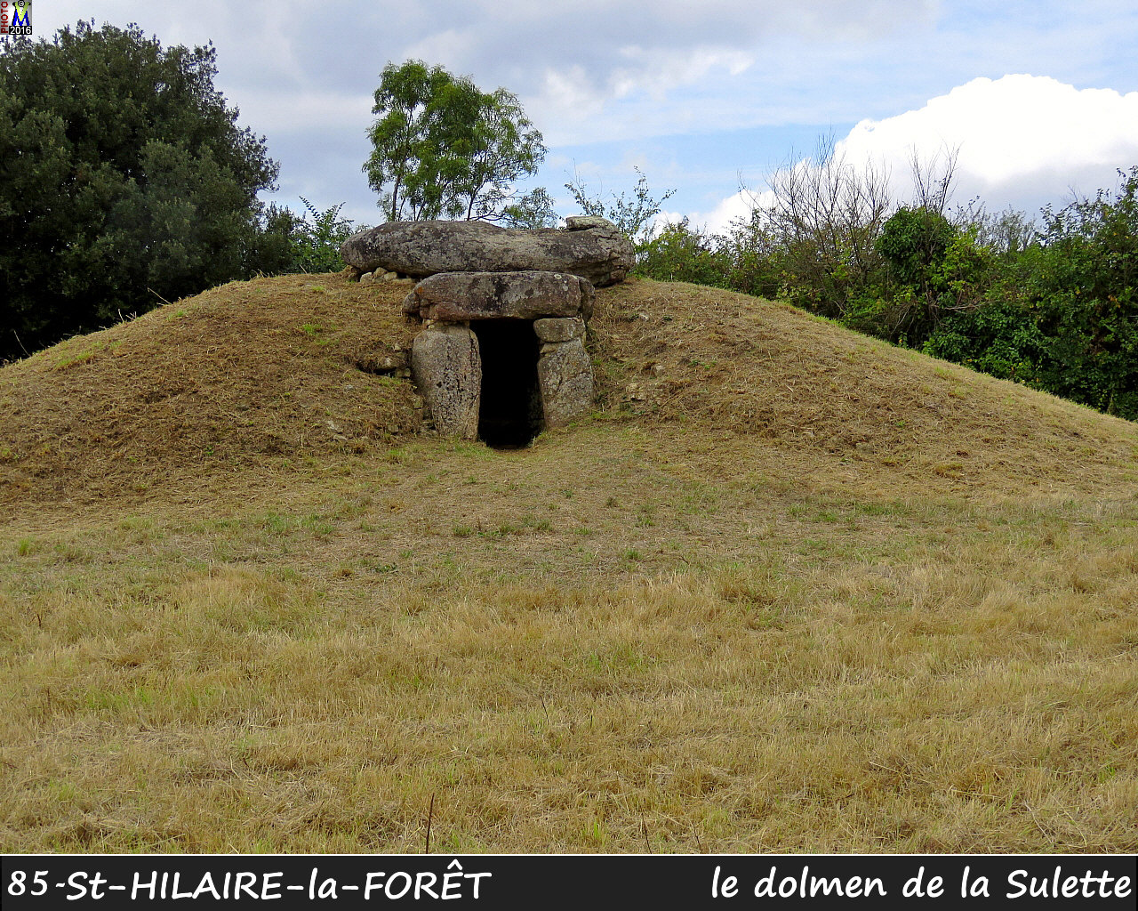 85StHILAIRE-FORET_dolmen_1000.jpg