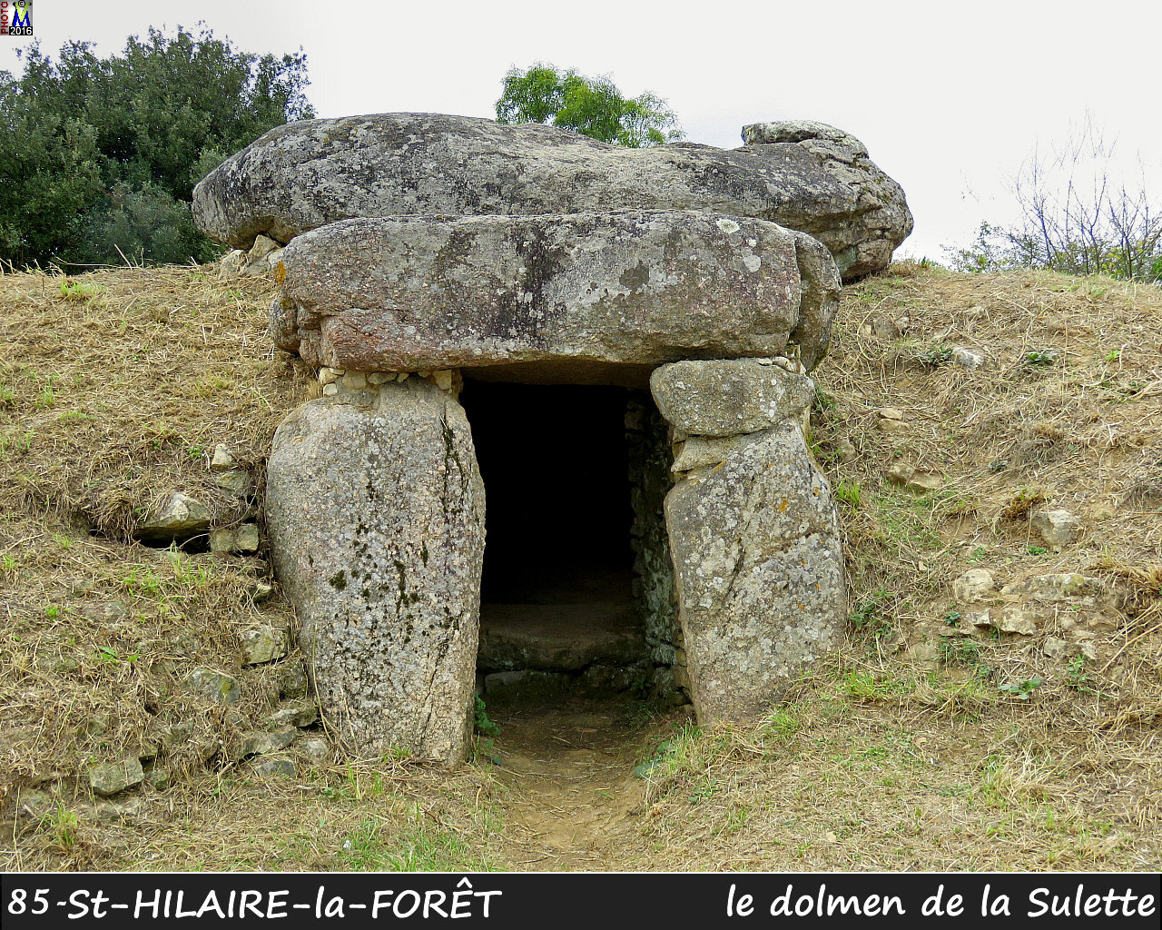 85StHILAIRE-FORET_dolmen_1002.jpg
