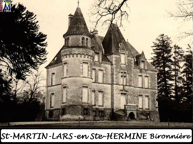 85StMARTIN-LARS_chateau_100.jpg