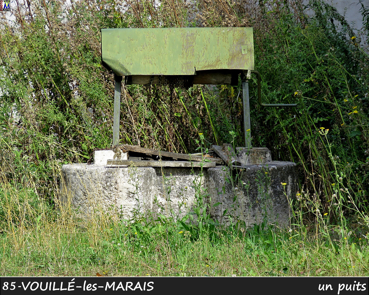 85VOUILLE-MARAIS_puits_1002.jpg