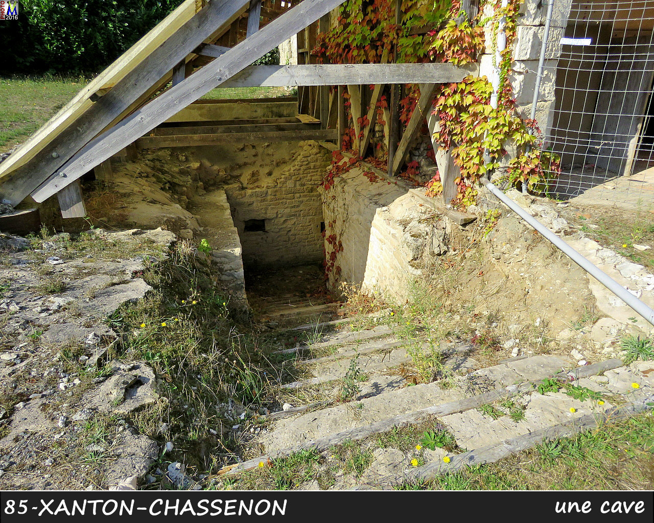 85XANTON-CHASSENON_cave_1000.jpg