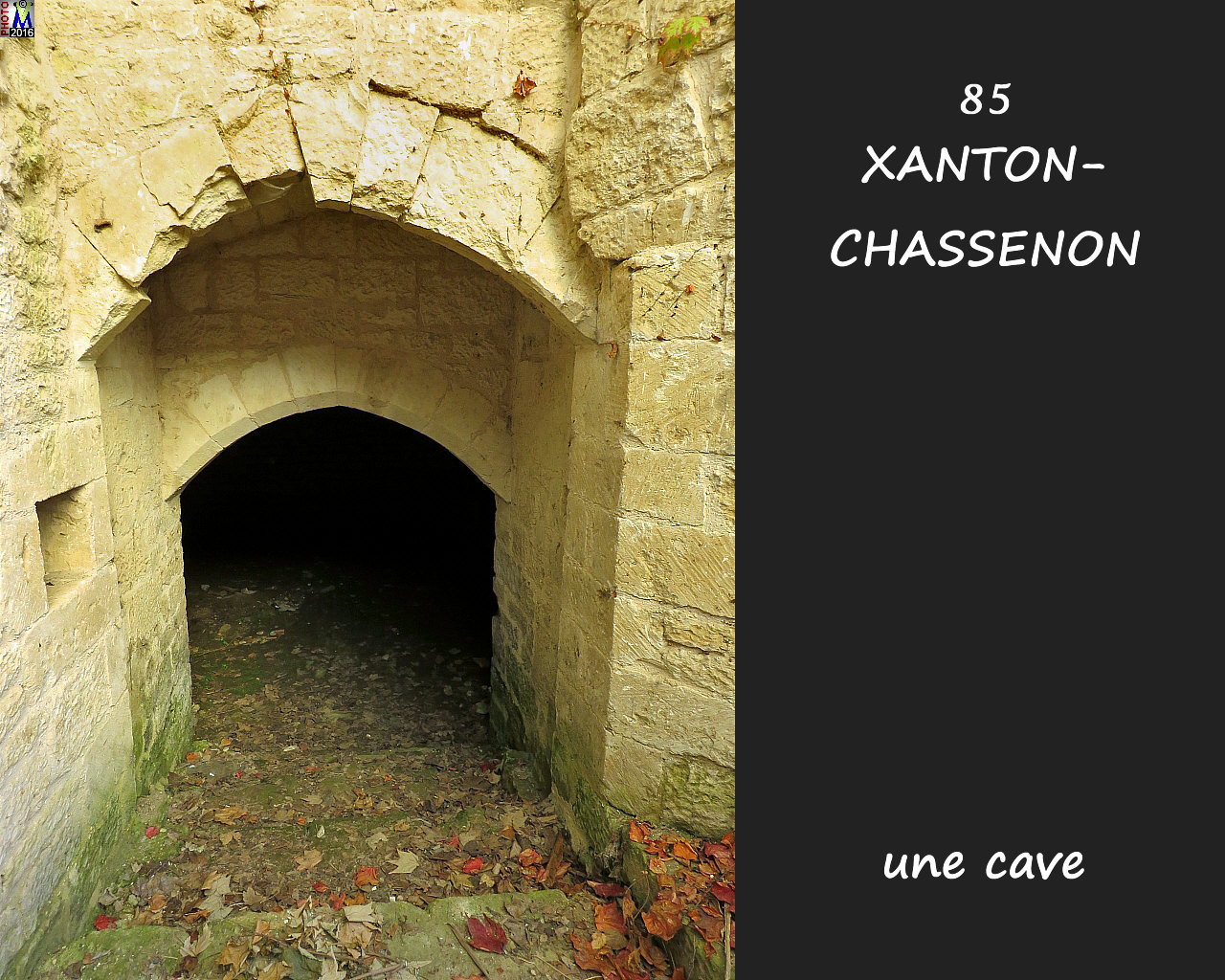 85XANTON-CHASSENON_cave_1002.jpg