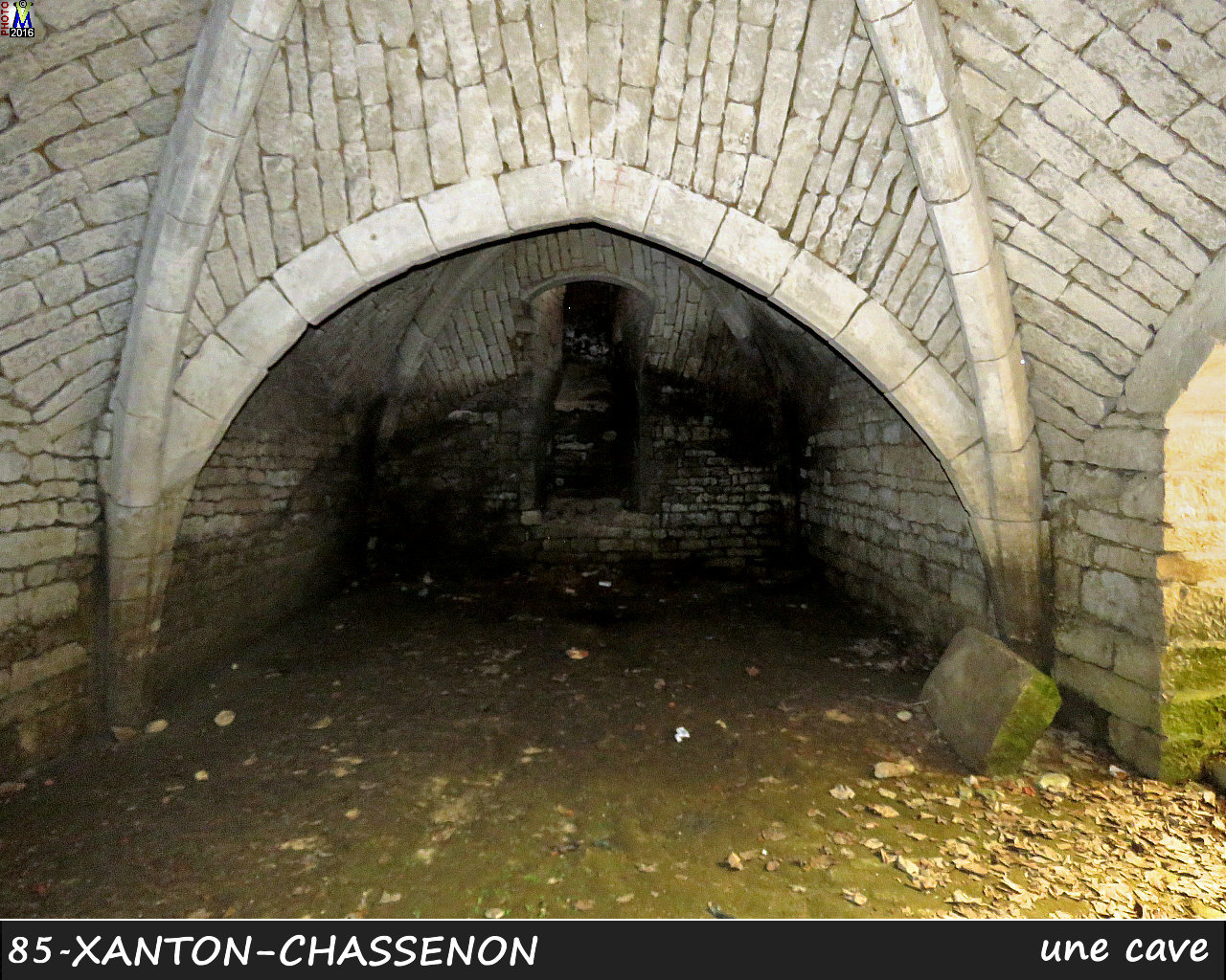 85XANTON-CHASSENON_cave_1004.jpg