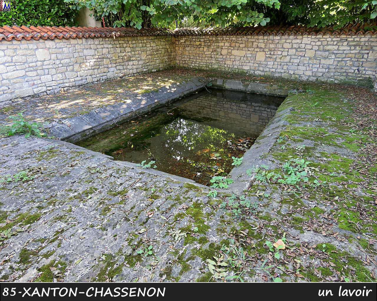 85XANTON-CHASSENON_lavoir_1002.jpg