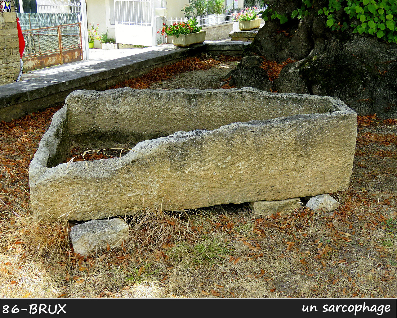 86BRUX_sarcophage_1000.jpg