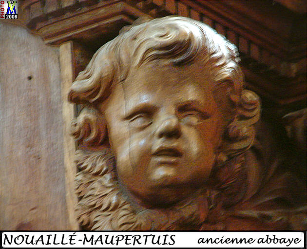 86NOUAILLE-MAUPERTUIS abbaye 266.jpg